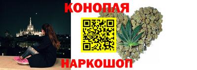 PSILOCYBIN Кингисепп