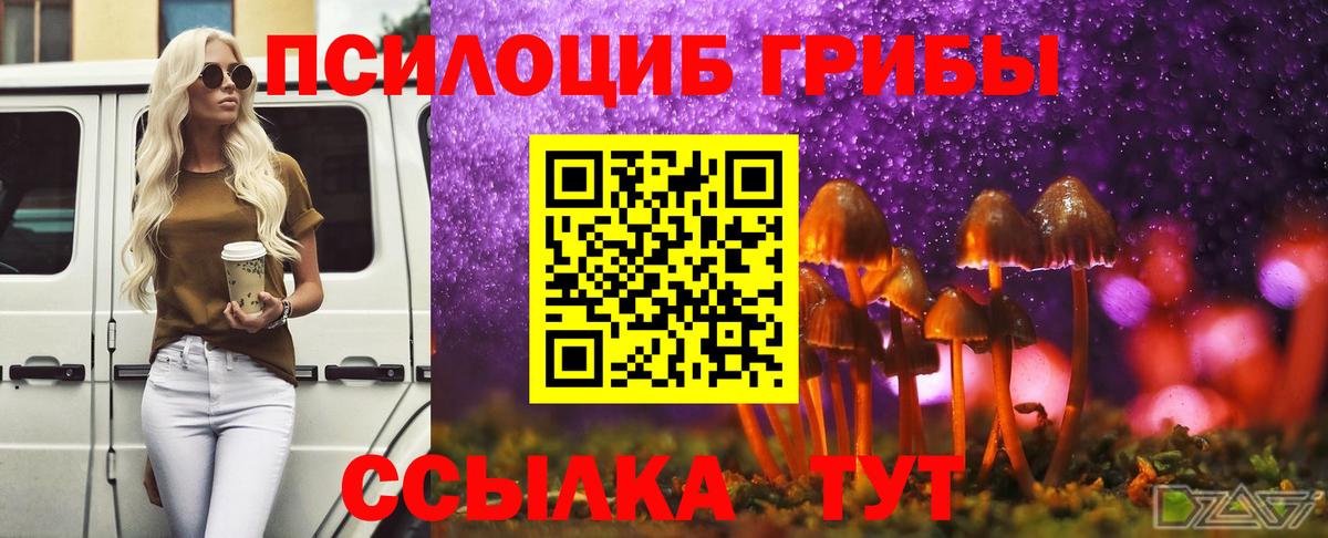 Краснознаменск  где можно купить   Галлюциногенные грибы Psilocybe  Вход с VPN  Галлюциногенные грибы MAGIC MUSHROOMS 